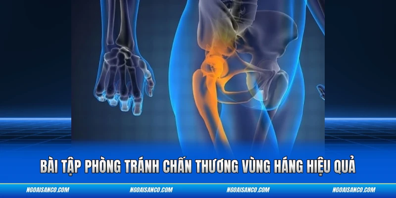 Bài tập phòng tránh chấn thương vùng háng hiệu quả