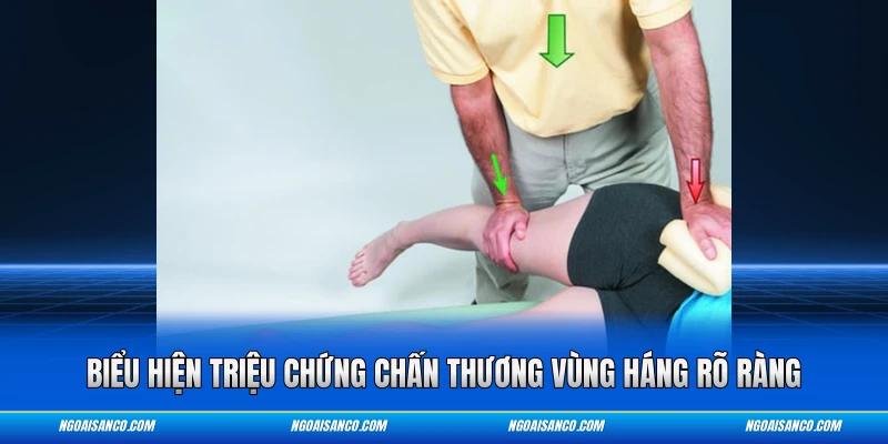 Biểu hiện triệu chứng chấn thương vùng háng rõ ràng