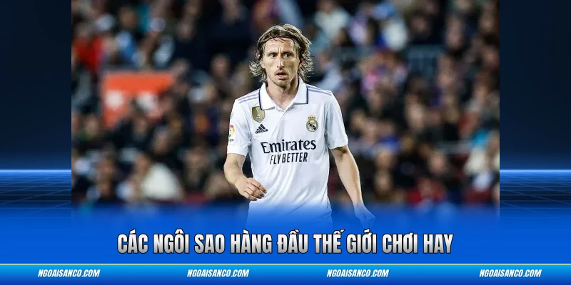 Các ngôi sao hàng đầu thế giới chơi hay