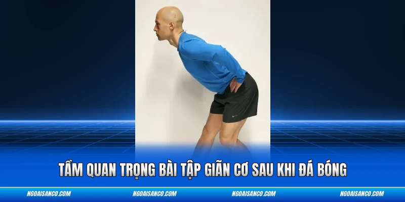 Tầm quan trọng bài tập giãn cơ sau khi đá bóng