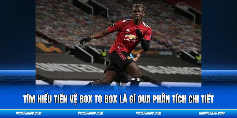 Tìm hiểu tiền vệ Box to Box là gì qua phân tích chi tiết