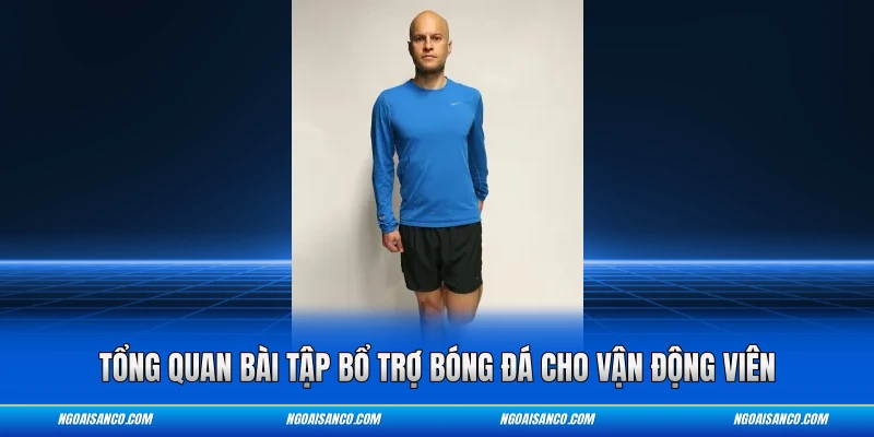 Tổng quan bài tập bổ trợ bóng đá cho vận động viên