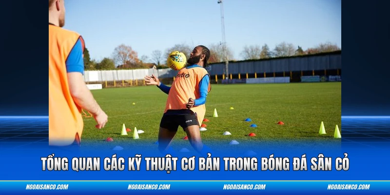 Tổng quan các kỹ thuật cơ bản trong bóng đá sân cỏ